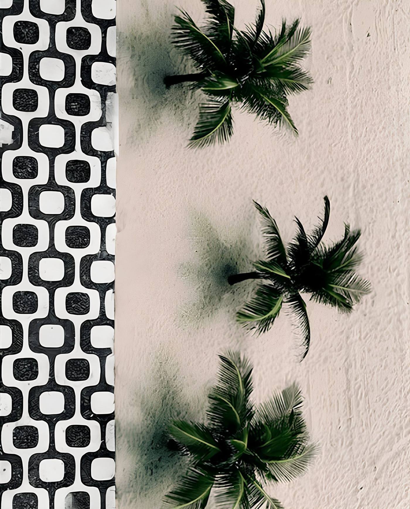 Palms and beach